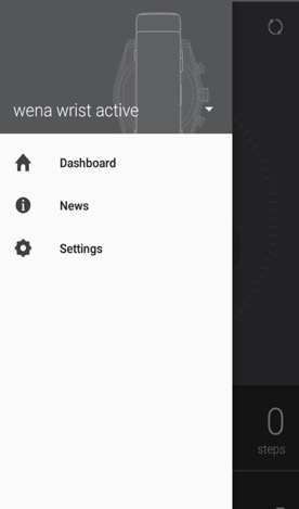 Help Guide: wena wrist